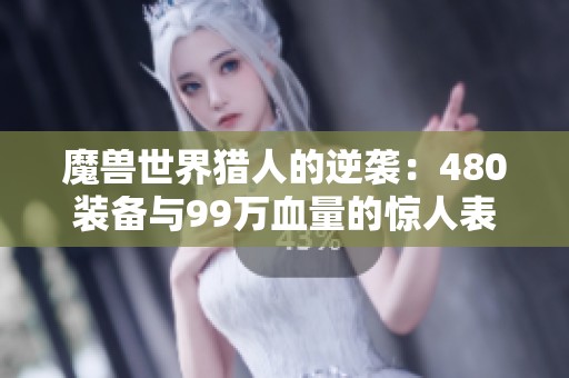 魔兽世界猎人的逆袭：480装备与99万血量的惊人表现