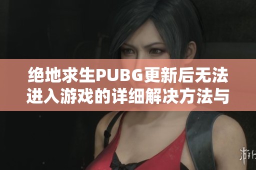 绝地求生PUBG更新后无法进入游戏的详细解决方法与服务器问题解析