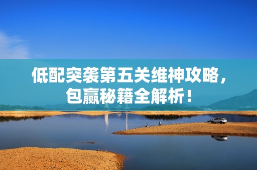 低配突袭第五关维神攻略，包赢秘籍全解析！