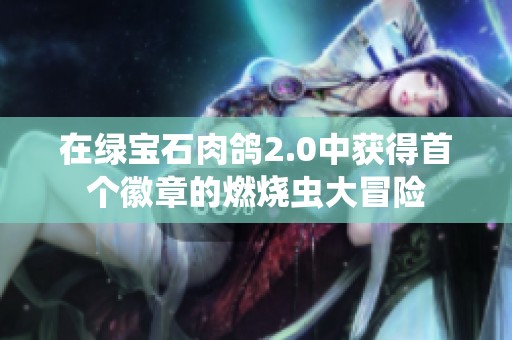 在绿宝石肉鸽2.0中获得首个徽章的燃烧虫大冒险
