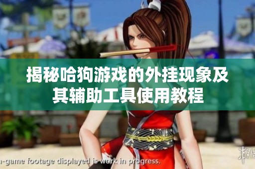 揭秘哈狗游戏的外挂现象及其辅助工具使用教程
