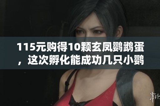 115元购得10颗玄凤鹦鹉蛋，这次孵化能成功几只小鹦鹉呢