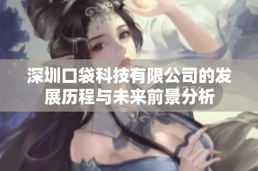 深圳口袋科技有限公司的发展历程与未来前景分析