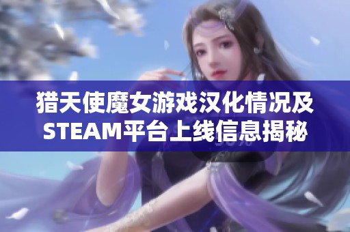 猎天使魔女游戏汉化情况及STEAM平台上线信息揭秘