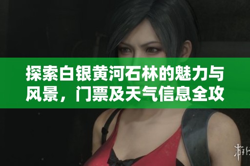 探索白银黄河石林的魅力与风景，门票及天气信息全攻略