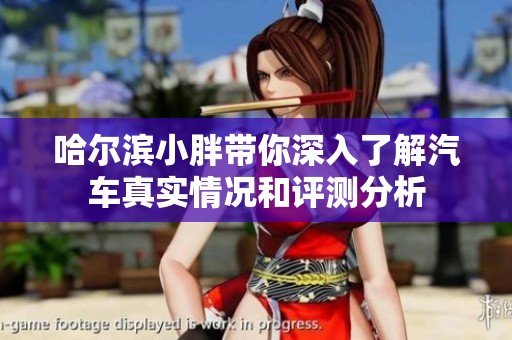 哈尔滨小胖带你深入了解汽车真实情况和评测分析