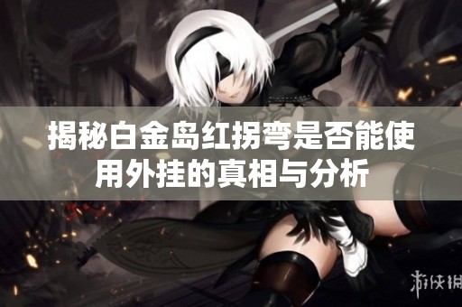 揭秘白金岛红拐弯是否能使用外挂的真相与分析