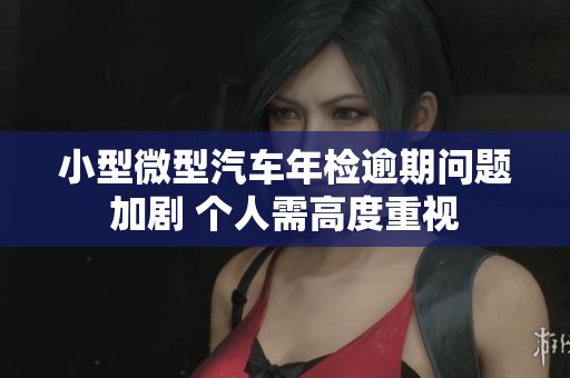 小型微型汽车年检逾期问题加剧 个人需高度重视