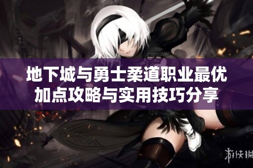 地下城与勇士柔道职业最优加点攻略与实用技巧分享