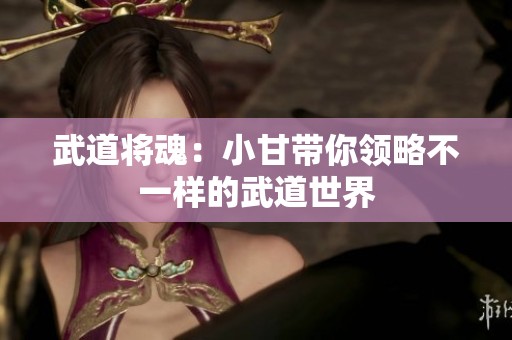 武道将魂：小甘带你领略不一样的武道世界