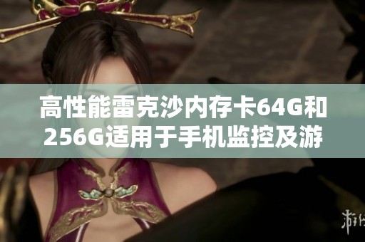 高性能雷克沙内存卡64G和256G适用于手机监控及游戏机