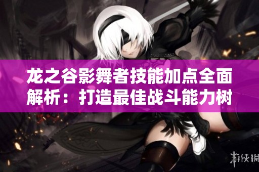 龙之谷影舞者技能加点全面解析：打造最佳战斗能力树攻略