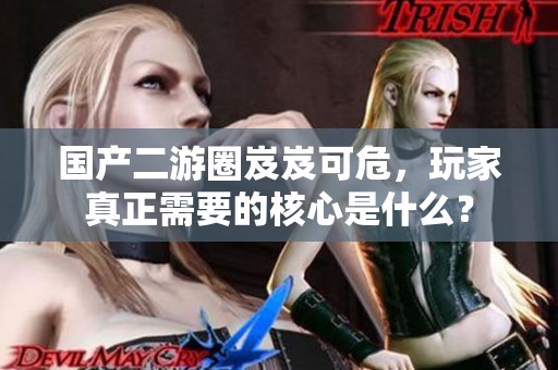 国产二游圈岌岌可危，玩家真正需要的核心是什么？