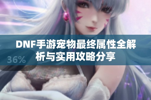 DNF手游宠物最终属性全解析与实用攻略分享
