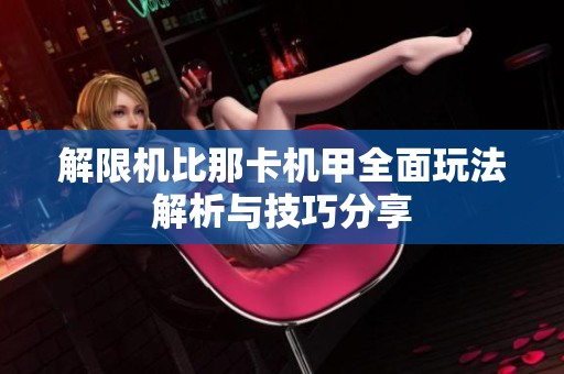 解限机比那卡机甲全面玩法解析与技巧分享