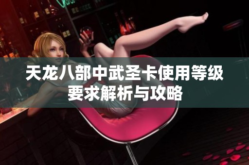 天龙八部中武圣卡使用等级要求解析与攻略