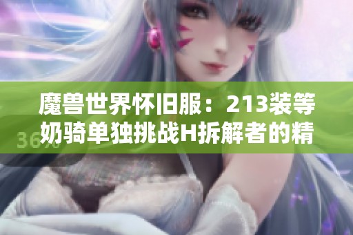 魔兽世界怀旧服：213装等奶骑单独挑战H拆解者的精彩战斗解析