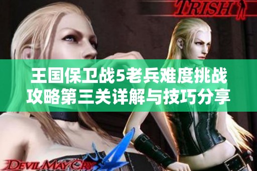 王国保卫战5老兵难度挑战攻略第三关详解与技巧分享
