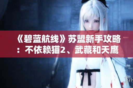 《碧蓝航线》苏盟新手攻略：不依赖猫2、武藏和天鹰轻松通关14-4
