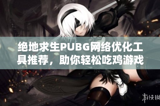 绝地求生PUBG网络优化工具推荐，助你轻松吃鸡游戏攻略