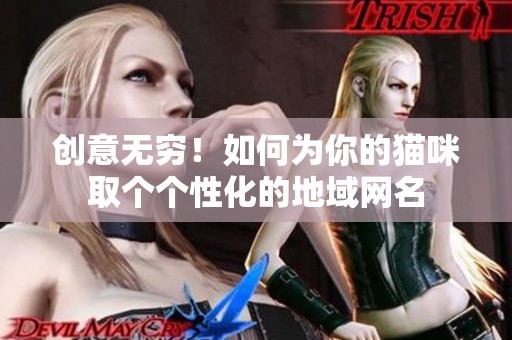 创意无穷！如何为你的猫咪取个个性化的地域网名