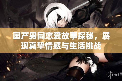 国产男同恋爱故事探秘，展现真挚情感与生活挑战