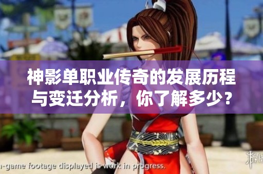 神影单职业传奇的发展历程与变迁分析，你了解多少？