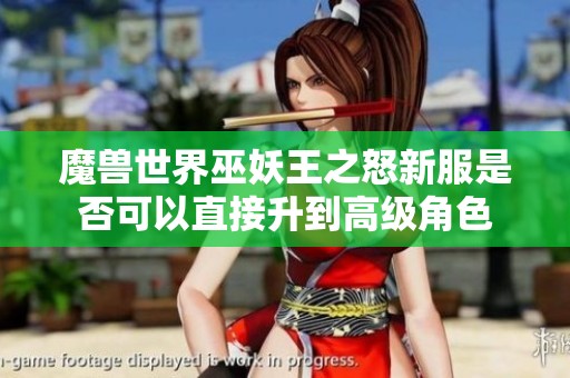 魔兽世界巫妖王之怒新服是否可以直接升到高级角色