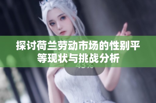 探讨荷兰劳动市场的性别平等现状与挑战分析