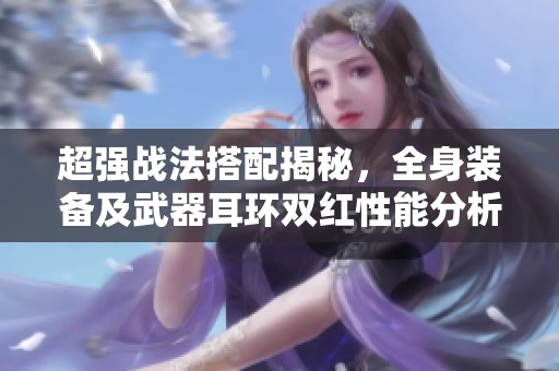 超强战法搭配揭秘，全身装备及武器耳环双红性能分析