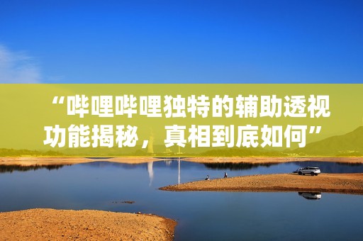 “哔哩哔哩独特的辅助透视功能揭秘，真相到底如何”