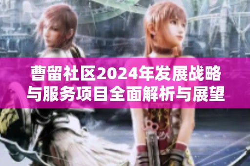 曹留社区2024年发展战略与服务项目全面解析与展望