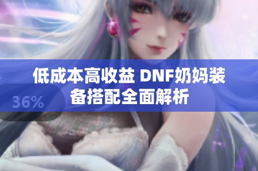 低成本高收益 DNF奶妈装备搭配全面解析
