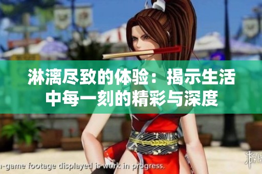 淋漓尽致的体验：揭示生活中每一刻的精彩与深度
