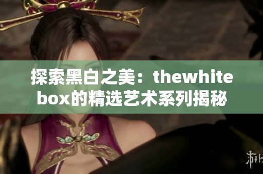 探索黑白之美：thewhitebox的精选艺术系列揭秘