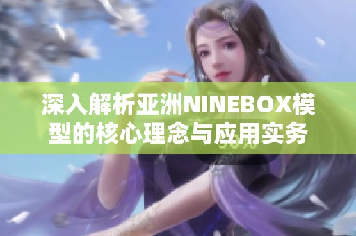 深入解析亚洲NINEBOX模型的核心理念与应用实务
