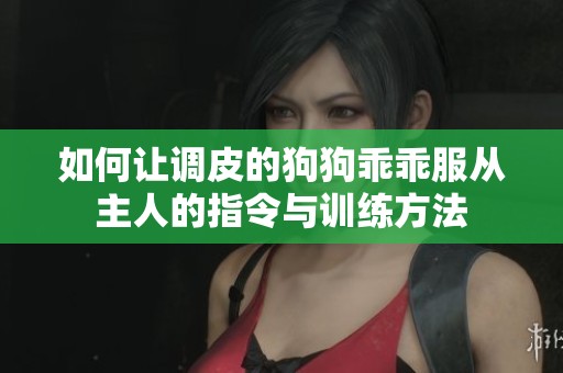 如何让调皮的狗狗乖乖服从主人的指令与训练方法