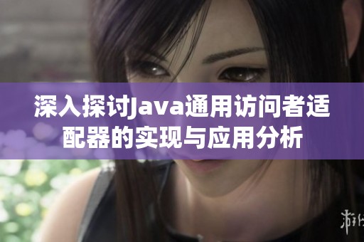 深入探讨Java通用访问者适配器的实现与应用分析
