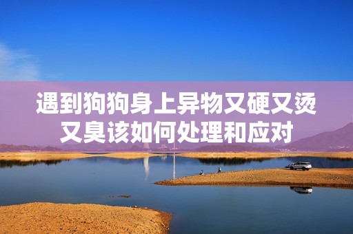 遇到狗狗身上异物又硬又烫又臭该如何处理和应对