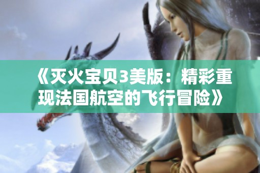 《灭火宝贝3美版：精彩重现法国航空的飞行冒险》