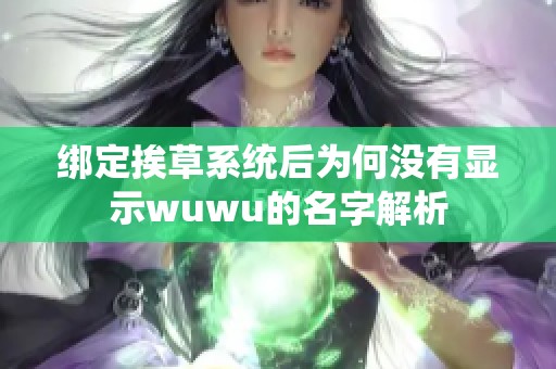 绑定挨草系统后为何没有显示wuwu的名字解析