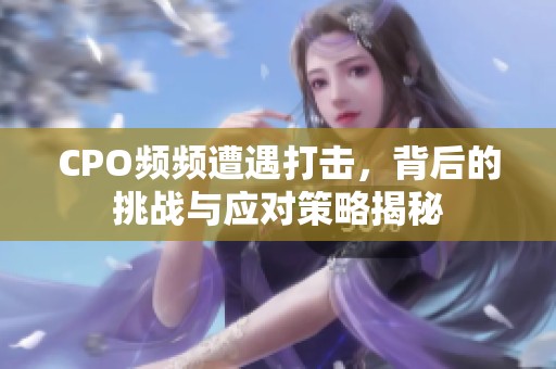 CPO频频遭遇打击，背后的挑战与应对策略揭秘