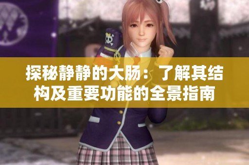 探秘静静的大肠：了解其结构及重要功能的全景指南