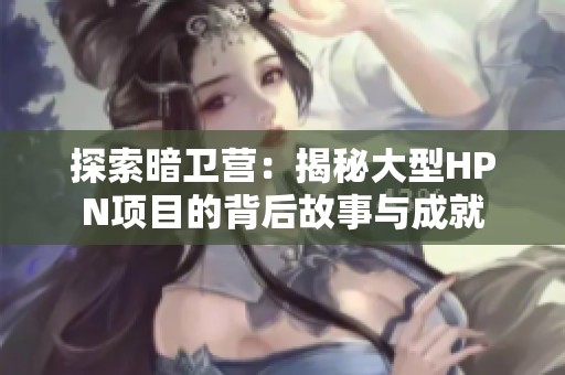 探索暗卫营：揭秘大型HPN项目的背后故事与成就