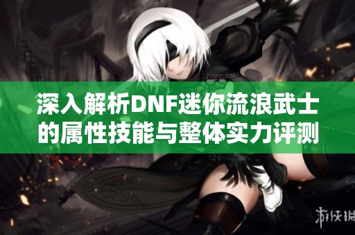 深入解析DNF迷你流浪武士的属性技能与整体实力评测