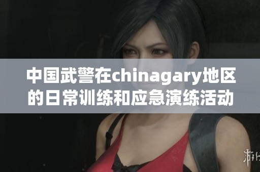 中国武警在chinagary地区的日常训练和应急演练活动揭秘