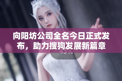 向阳坊公司全名今日正式发布，助力搜狗发展新篇章