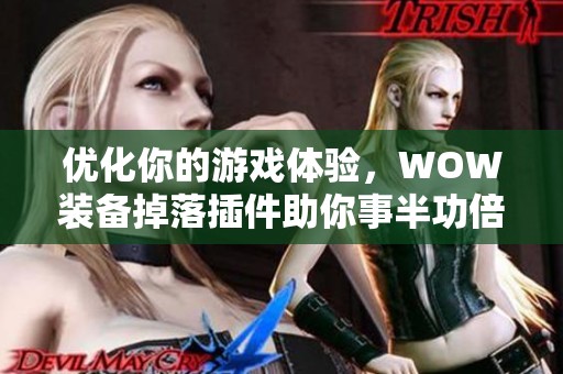 优化你的游戏体验，WOW装备掉落插件助你事半功倍