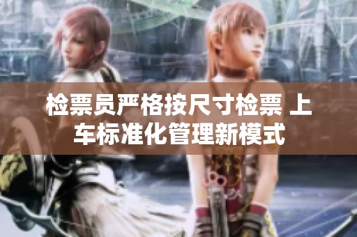 检票员严格按尺寸检票 上车标准化管理新模式