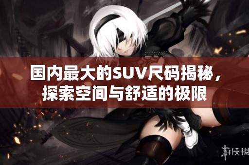 国内最大的SUV尺码揭秘，探索空间与舒适的极限